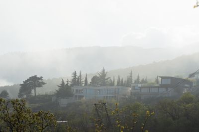 Ялта. 2025
